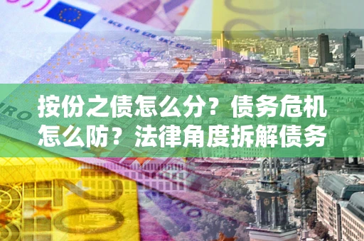 武汉按份之债怎么分？债务危机怎么防？法律角度拆解债务分配与风险自保指南