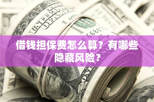 武汉借钱担保费怎么算？有哪些隐藏风险？