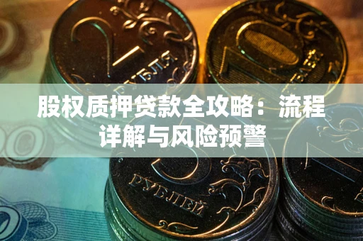 武汉股权质押贷款全攻略：流程详解与风险预警