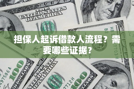武汉担保人起诉借款人流程？需要哪些证据？