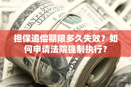 武汉担保追偿期限多久失效？如何申请法院强制执行？