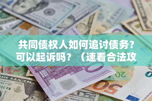 武汉共同债权人如何追讨债务？可以起诉吗？（速看合法攻略）