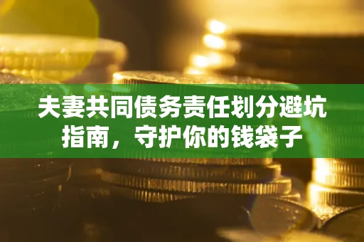 武汉夫妻共同债务责任划分避坑指南，守护你的钱袋子