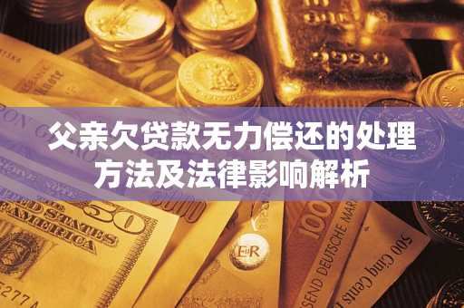 武汉父亲欠贷款无力偿还的处理方法及法律影响解析