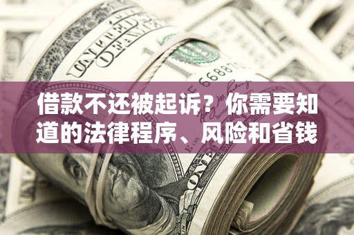 武汉借款不还被起诉？你需要知道的法律程序、风险和省钱技巧