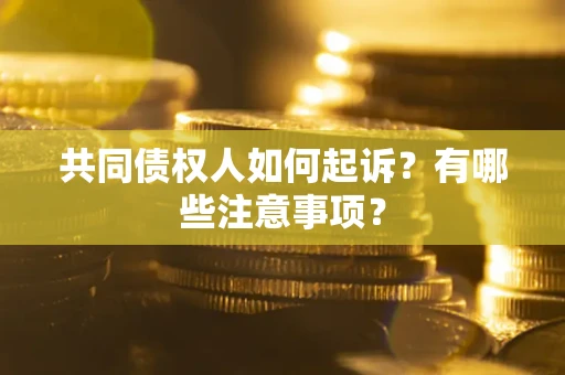 武汉共同债权人如何起诉？有哪些注意事项？